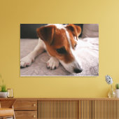 Jack Russel Terier Canvas Afdruk (Insitu (Woonkamer))