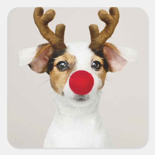 JACK RUSSEL TERRIER ALS REINDEER STICKER (Voorkant)