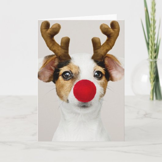 JACK RUSSEL TERRIER CHRISTMAS Carte pliée (Devant)