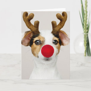 JACK RUSSEL TERRIER CHRISTMAS Carte pliée