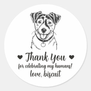 Jack Russel Terrier-hond trouwgunststickers Ronde Sticker