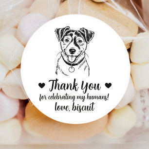 Jack Russel Terrier-hond trouwgunststickers Ronde Sticker