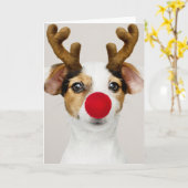 JACK RUSSEL TERRIER KERSTMIS Gevouwen Kaart (Gele Bloem)