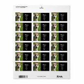 Jack Russell-adreslabel Etiket (Full Sheet)