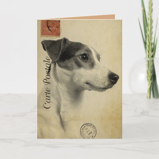 Jack Russell Briefkaart (Voorkant)