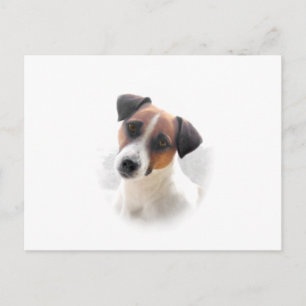 Jack Russell Briefkaart