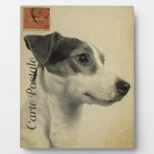 Jack Russell  Briefkaart Fotoplaat (Voorkant)