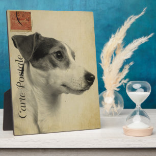 Jack Russell Briefkaart Fotoplaat