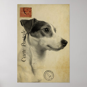 Jack Russell Briefkaart Poster