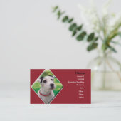 Jack Russell Carte de visite de chiens (Debout devant)
