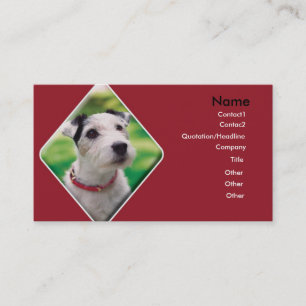 Jack Russell Carte de visite de chiens