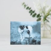  Jack Russell Cyan Tone Briefkaart (Staand voorkant)