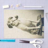  Jack Russell Dog met Pipe-weefselpapier Tissuepapier (Craft)