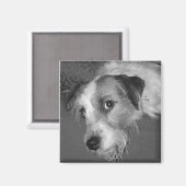 Jack Russell dooder Magneet (Voorkant / Achterkant)