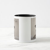 Jack russell doodsbang. mok (Midden)