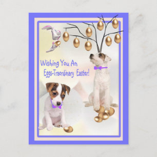 Jack Russell Eggs - Buitengewone paaswensen Feestdagenkaart