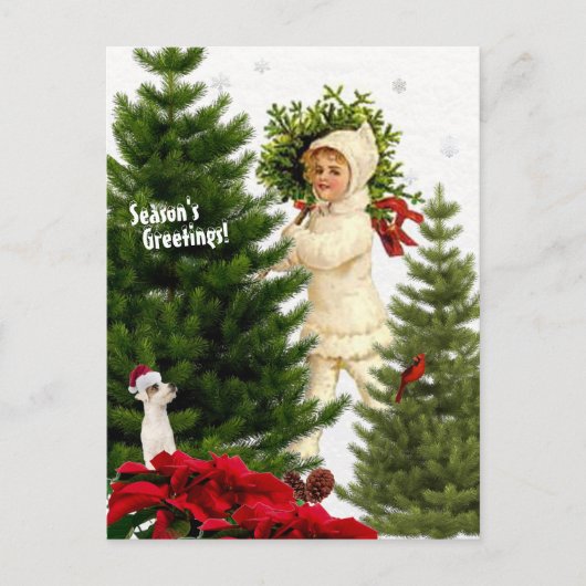  Jack Russell en Red Poinsettias Briefkaart (Voorkant)