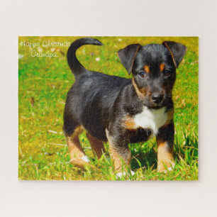 Jack Russell-hond. Legpuzzel