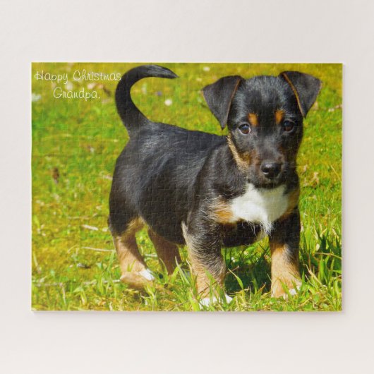 Jack Russell-hond. Legpuzzel (Horizontaal)