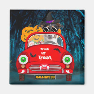 Jack Russell-hond rijdt auto griezelige Halloween Magneet