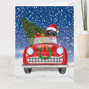 Jack Russell-hond rijdt auto in sneeuw met Kerstmi Kaart