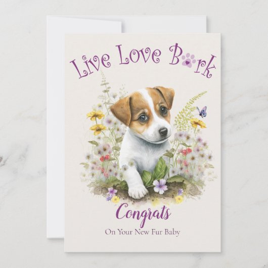 Jack Russell hondenadoptie, Gotcha-dag Kaart (Voorkant)