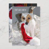 Jack Russell-kerstkaart (Voorkant / Achterkant)