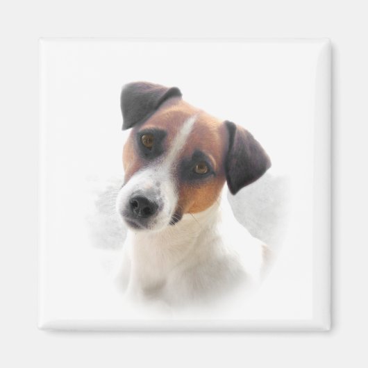 Jack Russell Magnet (Devant)