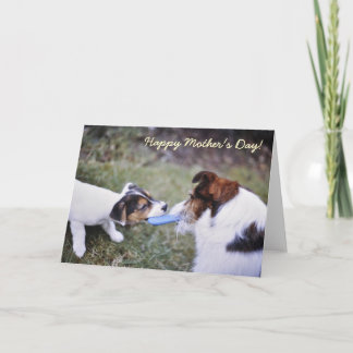 Jack Russell Moederdag card Kaart