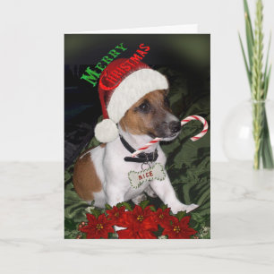 Jack Russell Naughty of Nice-kaarten Feestdagen Kaart