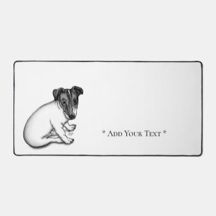 Jack Russell Puppy 10 semaines