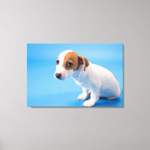Jack Russell Puppy Canvas Afdruk