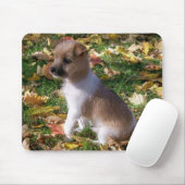 Jack Russell Puppy Muismat (Met muis)