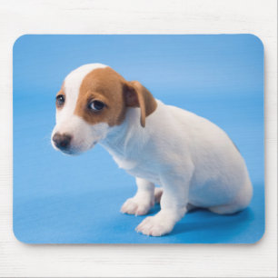 Jack Russell Puppy Muismat