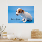 Jack Russell Puppy Poster (Keuken)
