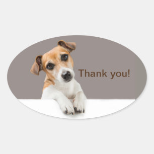 Jack Russell Puppy Schattig Aardig Dank Je Ovale Sticker