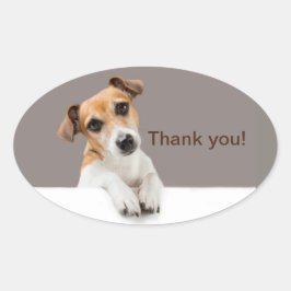Jack Russell Puppy Schattig Gezellig Dank Je Ovale Sticker