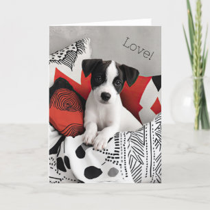 Jack Russell Puppy Valentijn Kaart