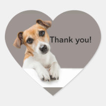 Jack Russell Puppy Zoete Liefste Cute Hart Sticker
