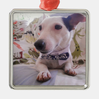 Jack Russell Terier Metalen Ornament
