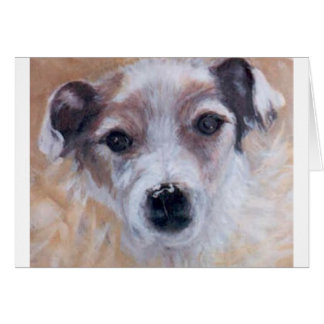 Jack Russell Terrier