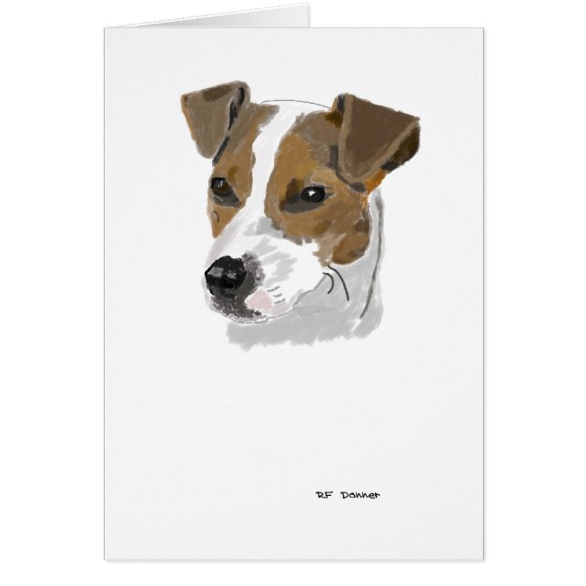 Jack Russell Terrier (Devant)