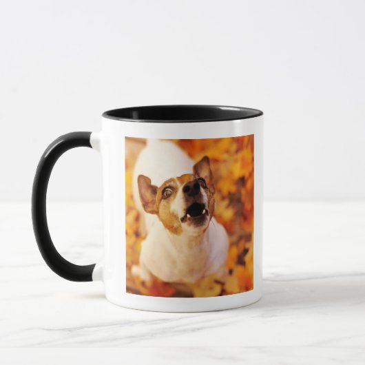 Jack Russell Terrier blaast en springt, herfst Mok (Links)