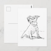 Jack Russell Terrier Briefkaart (Voorkant / Achterkant)