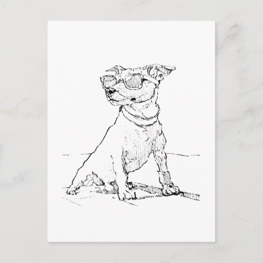 Jack Russell Terrier Briefkaart (Voorkant)