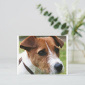 Jack Russell Terrier Briefkaart (Staand voorkant)