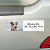 Jack Russell Terrier Bumpersticker (Op auto)