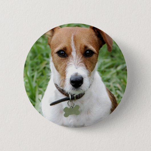 Jack Russell Terrier Button (Voorkant)
