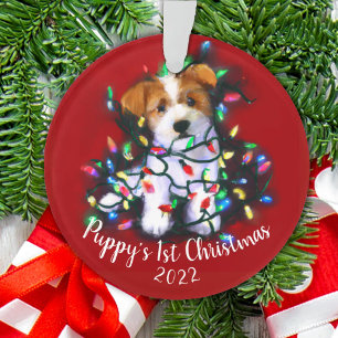 Jack Russell Terrier Chien et feux d'arbre de Noël