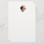 JACK RUSSELL TERRIER DOG BRIEFPAPIER (Voorkant / Achterkant)